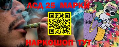 бошки Донской