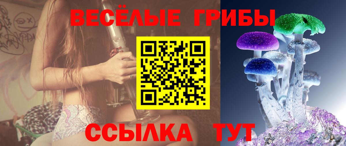 Галлюциногенные грибы Psilocybe Ливны