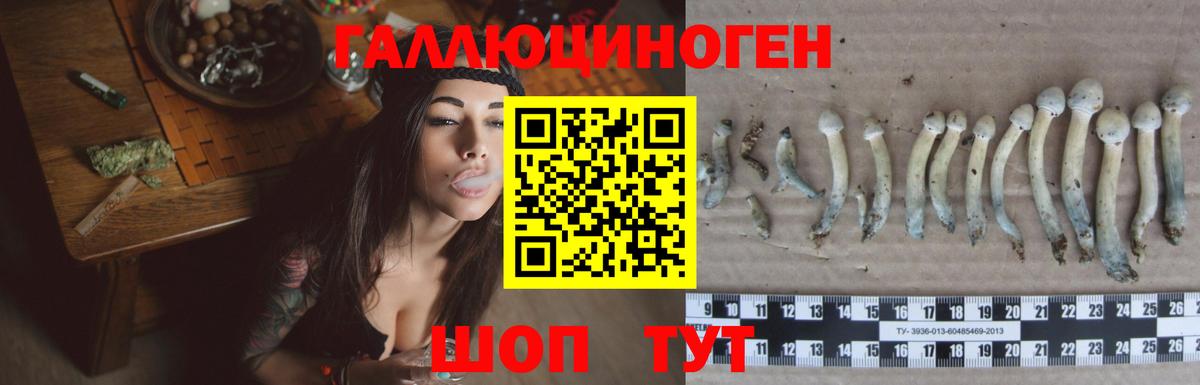 Псилоцибиновые грибы Cubensis  Вход с VPN  Ливны  Галлюциногенные грибы Psilocybine cubensis 